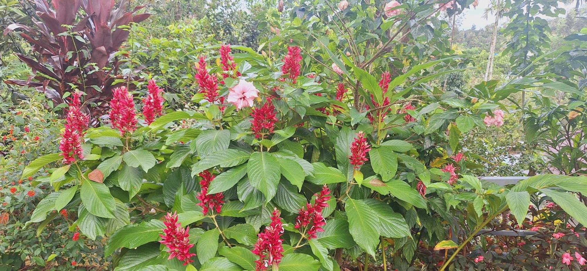 דירות Kattappana Tranquil Meadows Hues מראה חיצוני תמונה